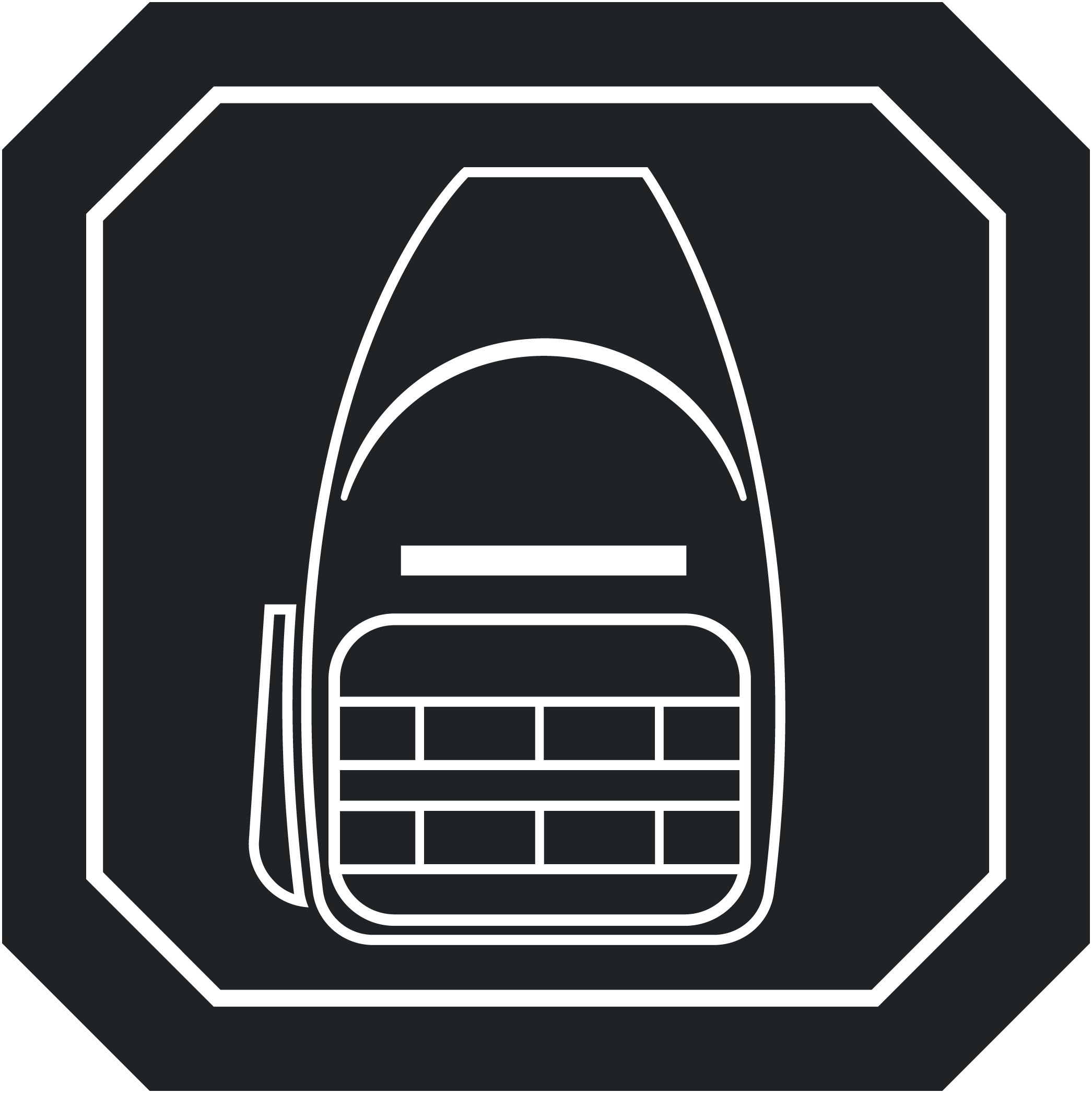 laggage feature icon