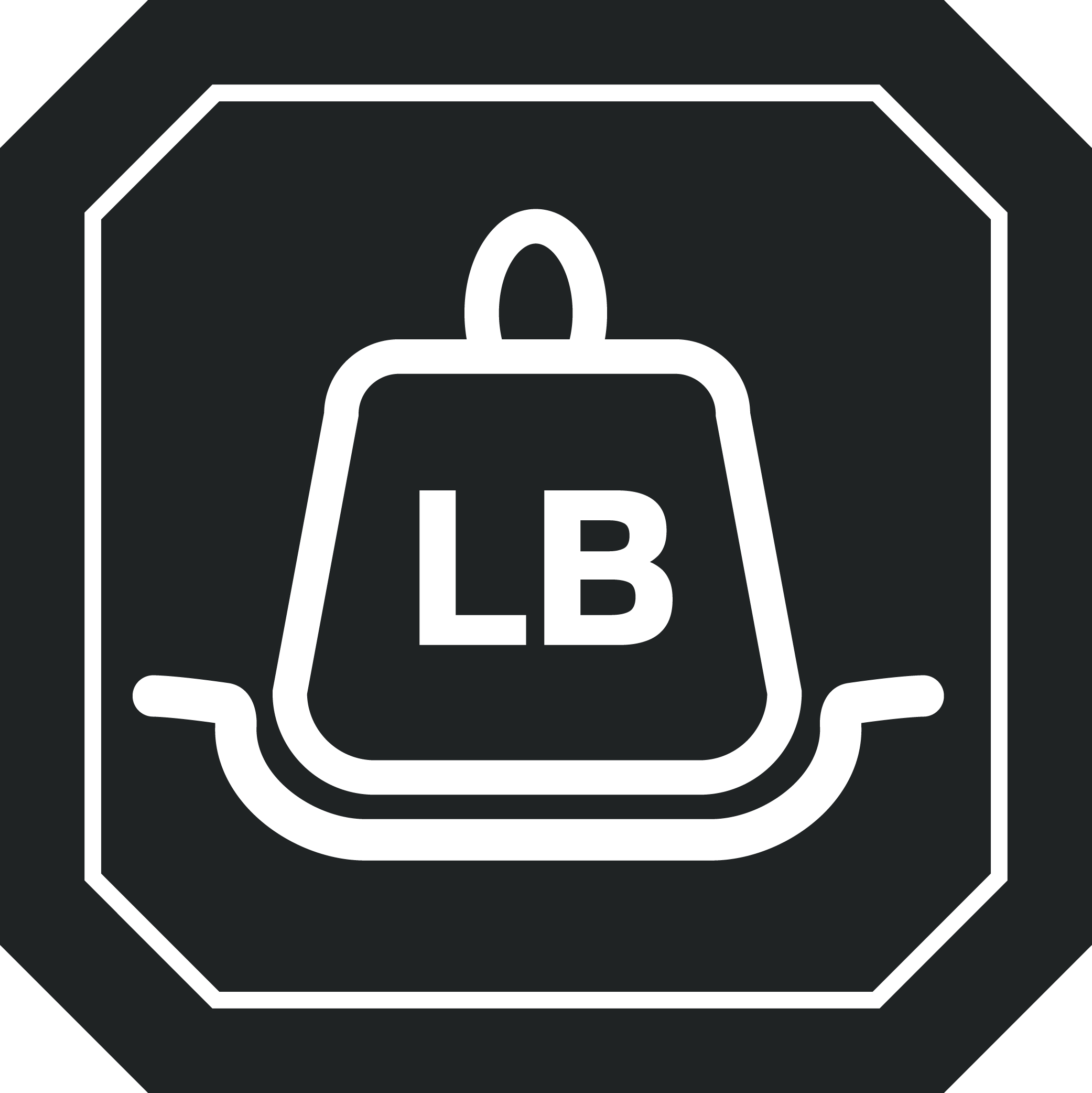 laggage feature icon